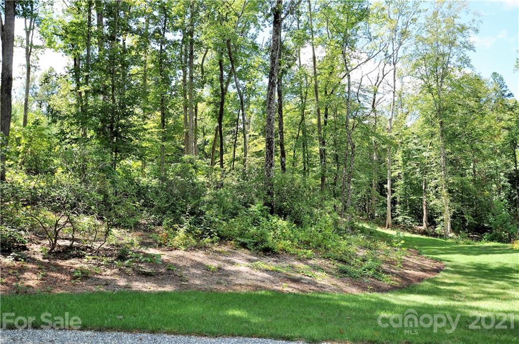 190 Firethorn Lane Rutherfordton, NC 28139 - Photo 6 of 36 Gallery Image 6