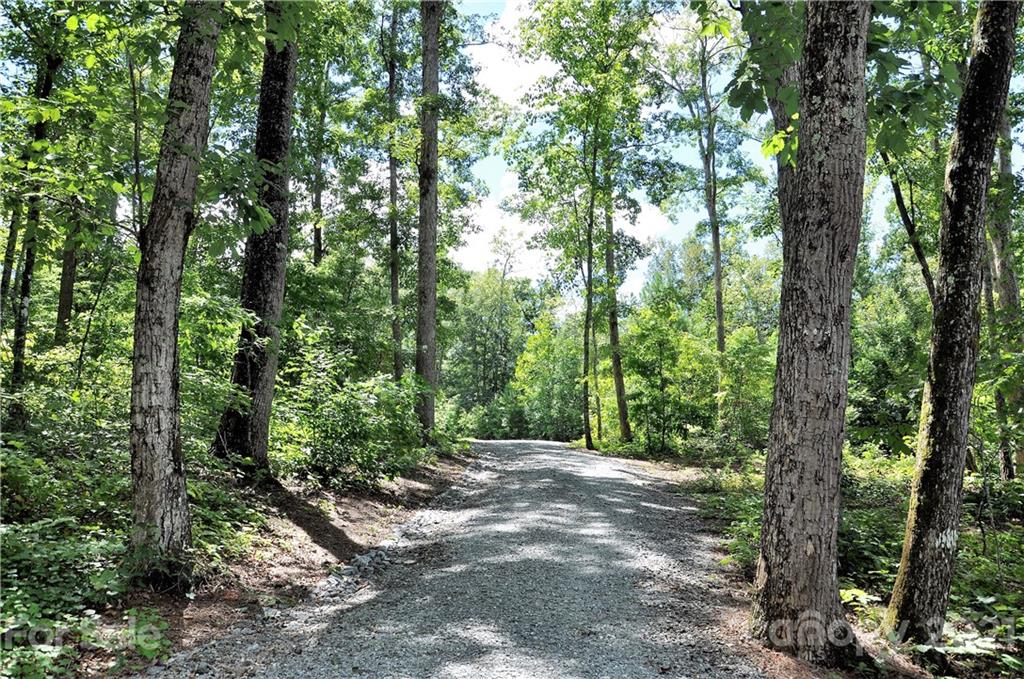 190 Firethorn Lane Rutherfordton, NC 28139 - Photo 9 of 36 Gallery Image 9