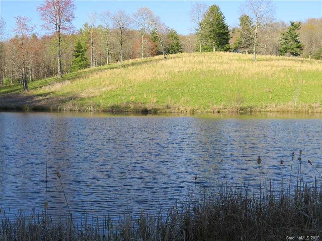372 Slick Rock Road, Unit TR A B AND IIR Brevard, NC 28712 - Photo 20 of 46 Gallery Image 20
