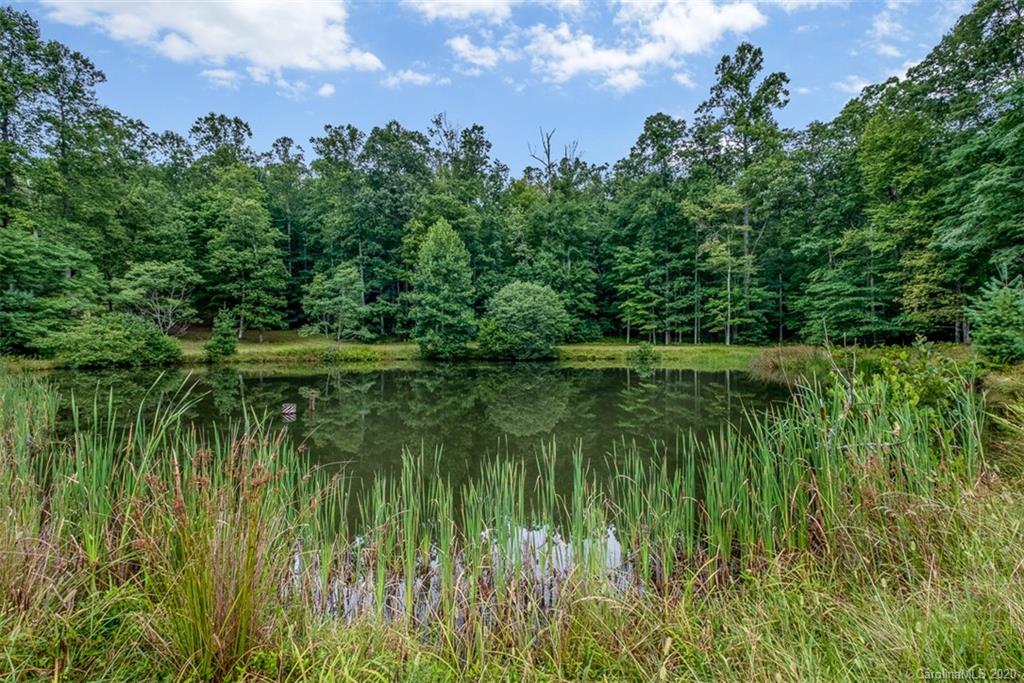 372 Slick Rock Road, Unit TR A B AND IIR Brevard, NC 28712 - Photo 21 of 46 Gallery Image 21