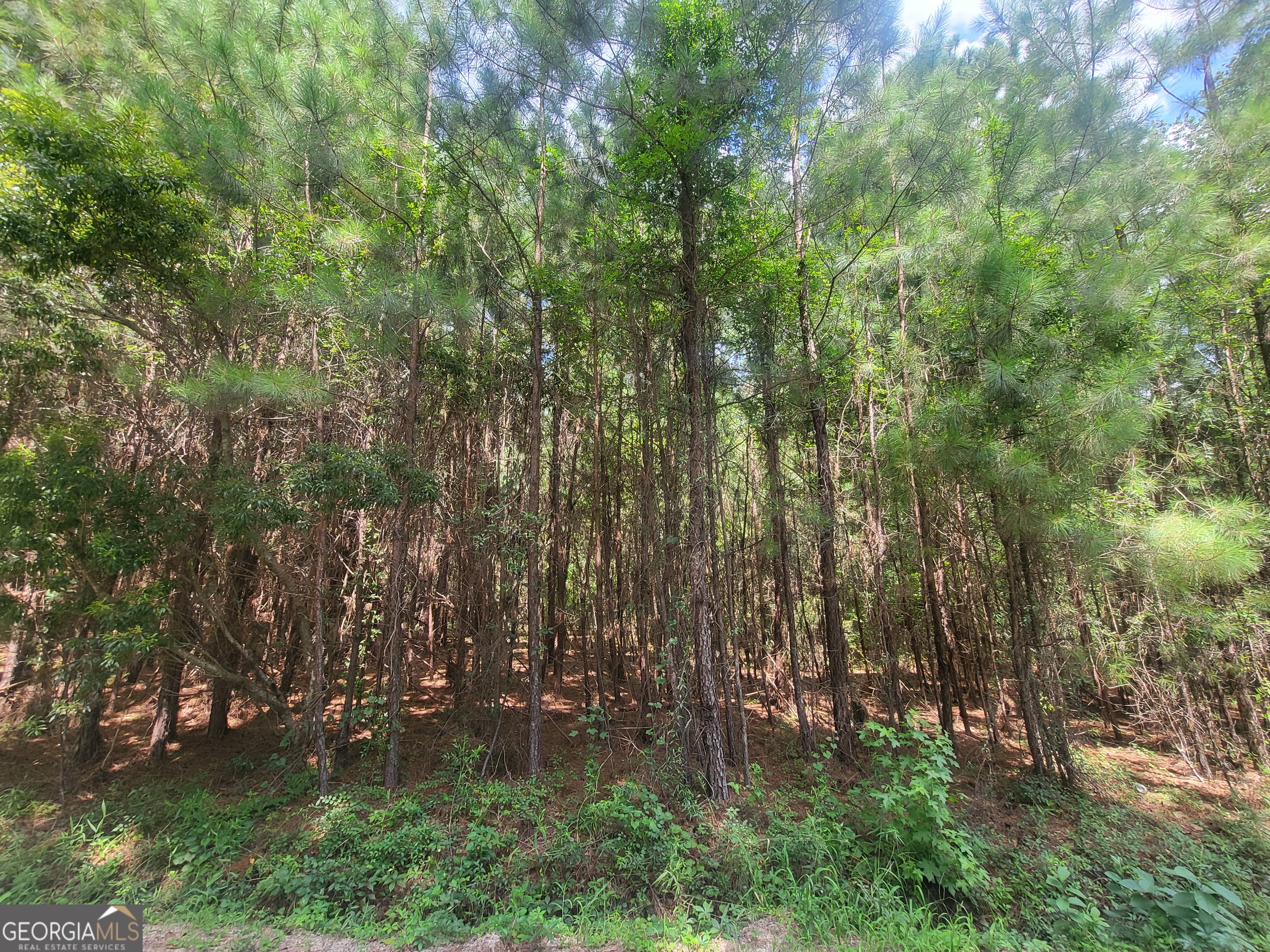 0 O F O F Lanier Road Pembroke, GA 31321 - Photo 1 of 1 Gallery Image 1