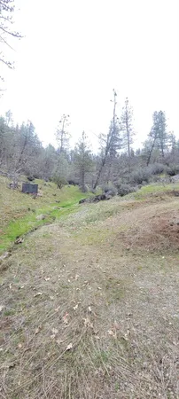 $130,000 | 2450 White Rock Road, Platina, CA 96076