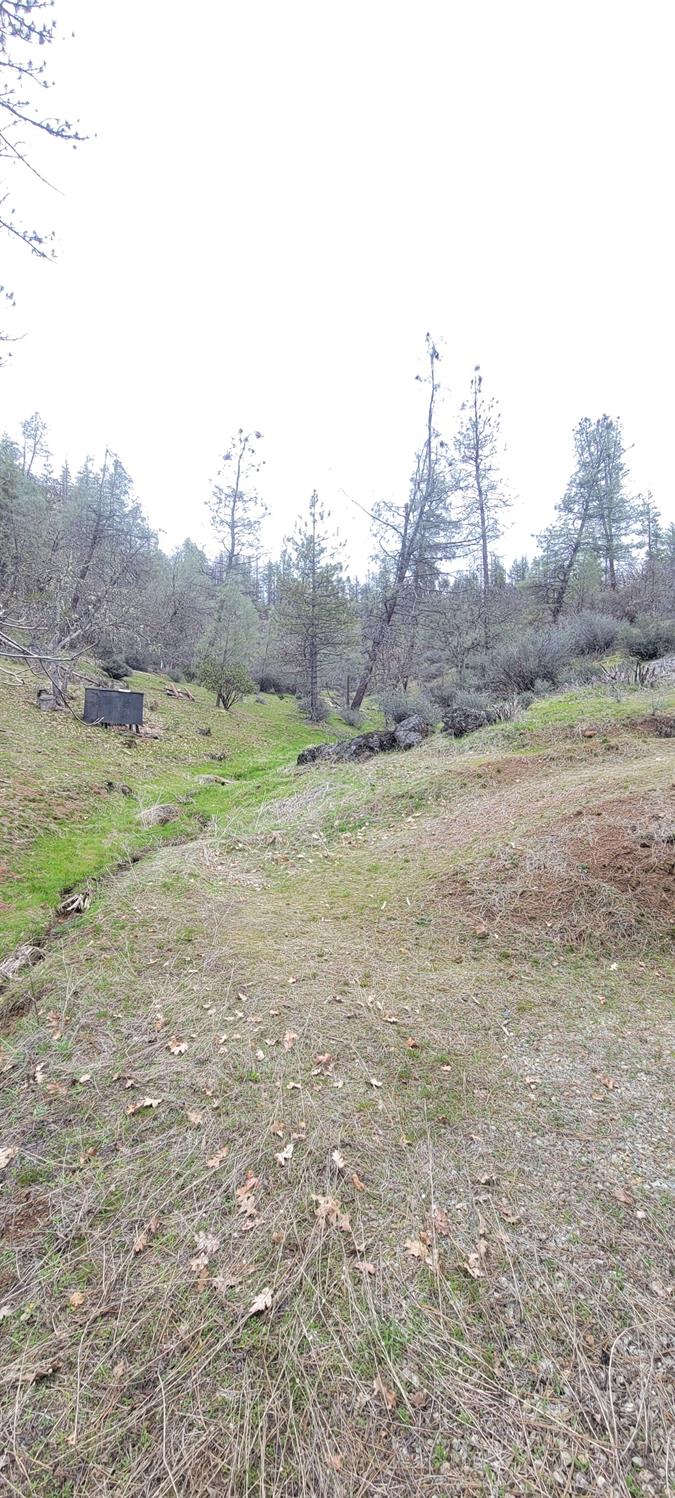 2450 White Rock Road Platina, CA 96076 - Photo 23 of 25 a view of outdoor space and city view