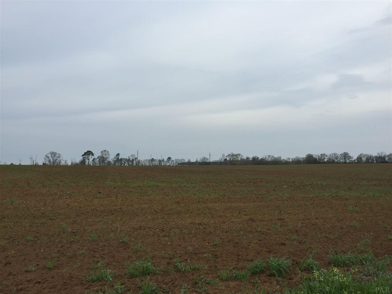 133 County Road Edison, GA 39846 - Photo 16 of 18 Gallery Image 16