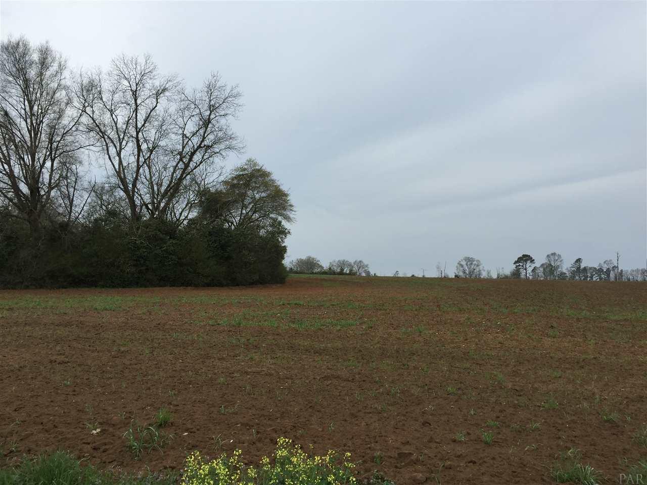 133 County Road Edison, GA 39846 - Photo 17 of 18 Gallery Image 17