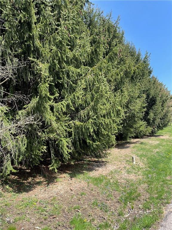0 Maple Street Rochester, PA 15074 - Photo 1 of 4 a view of a yard with plants and trees
