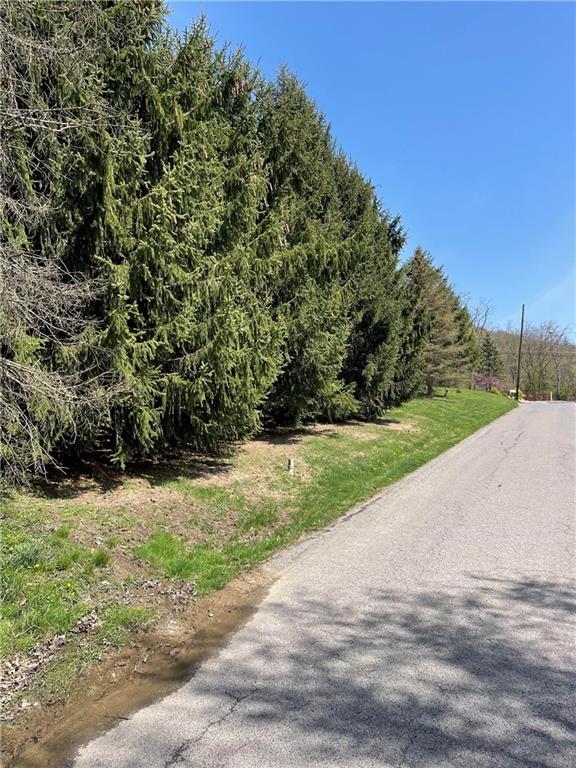 0 Maple Street Rochester, PA 15074 - Photo 2 of 4 a view of a road with a yard