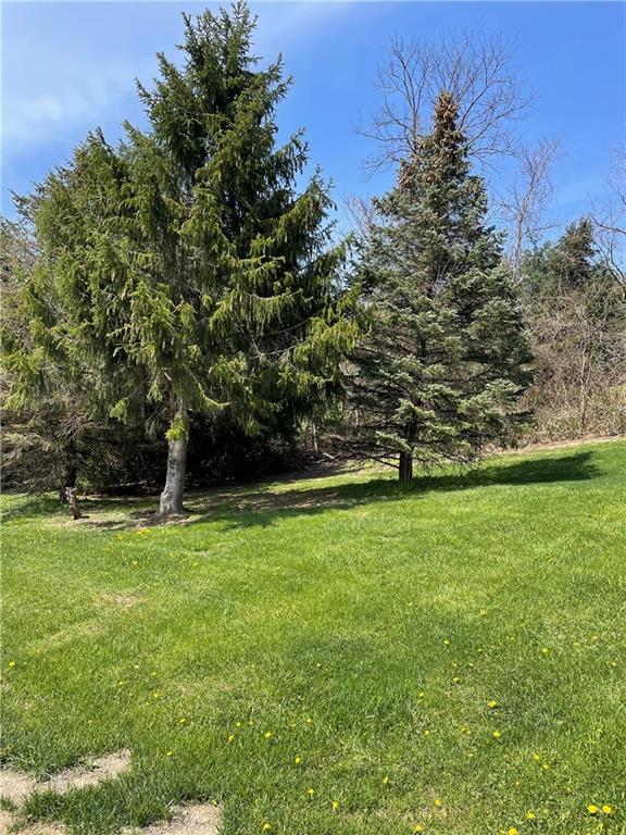 0 Maple Street Rochester, PA 15074 - Photo 4 of 4 a view of a field of grass and trees