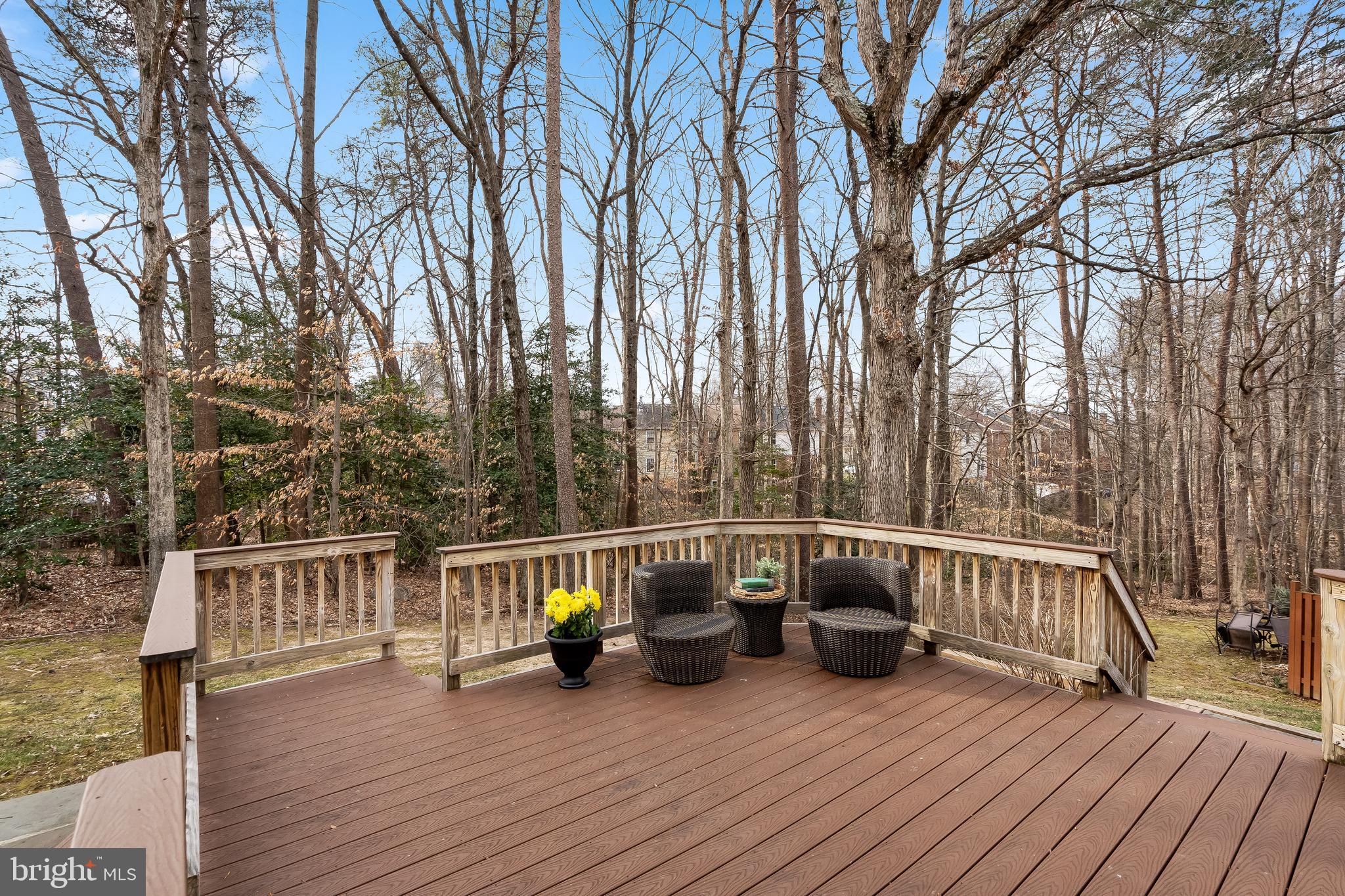 7433 Spring Tree Drive Springfield, VA 22153 - Photo 12 of 18