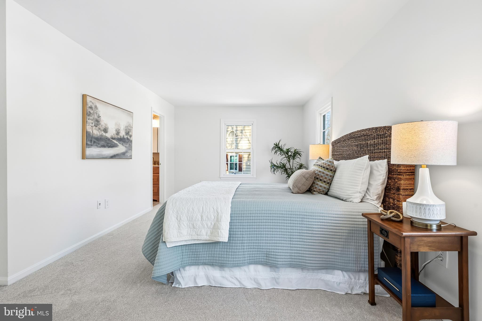 7433 Spring Tree Drive Springfield, VA 22153 - Photo 27 of 63 Large with Lots of Light