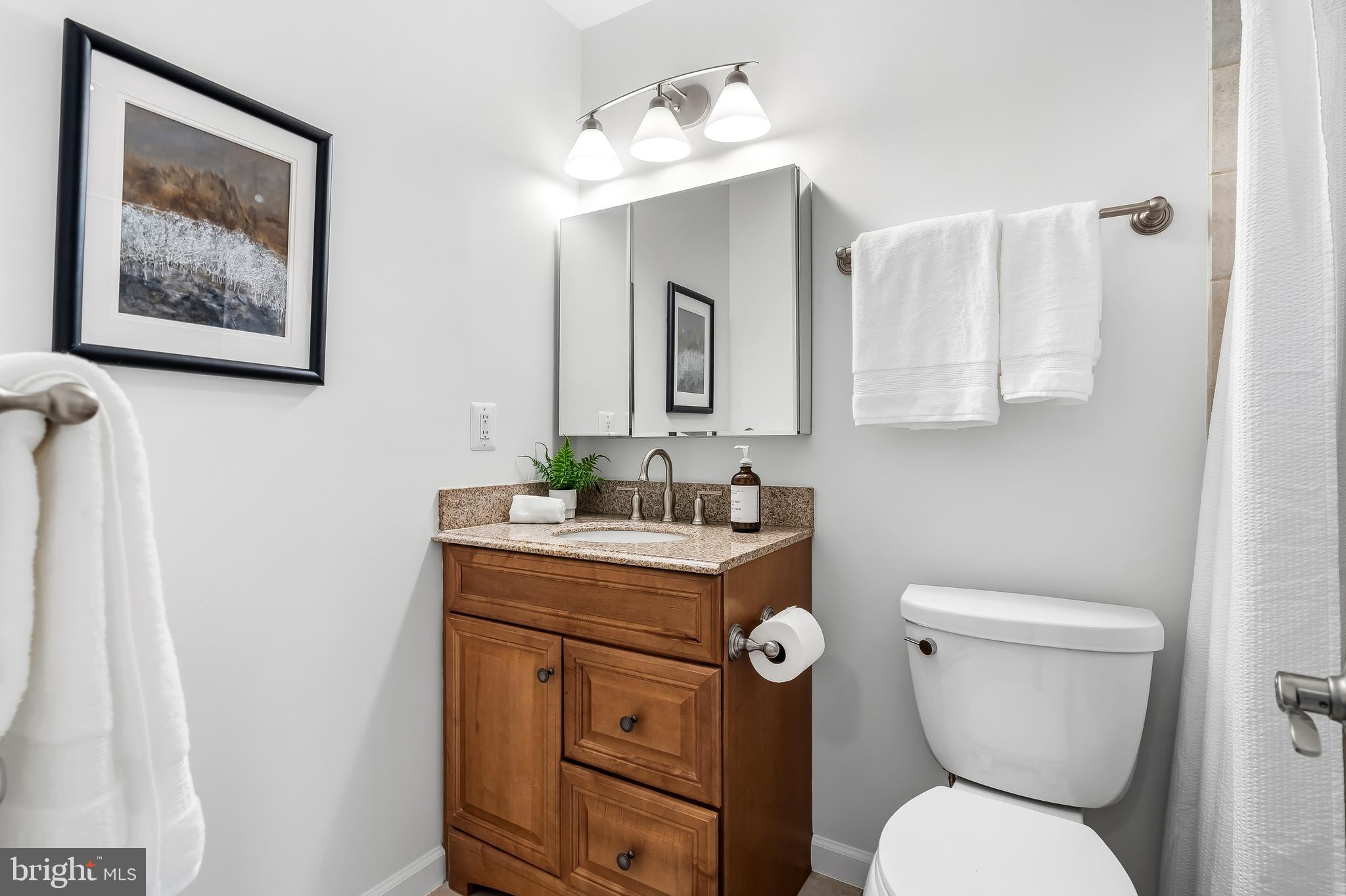 7433 Spring Tree Drive Springfield, VA 22153 - Photo 33 of 63 Hall Bathroom with Tub Shower