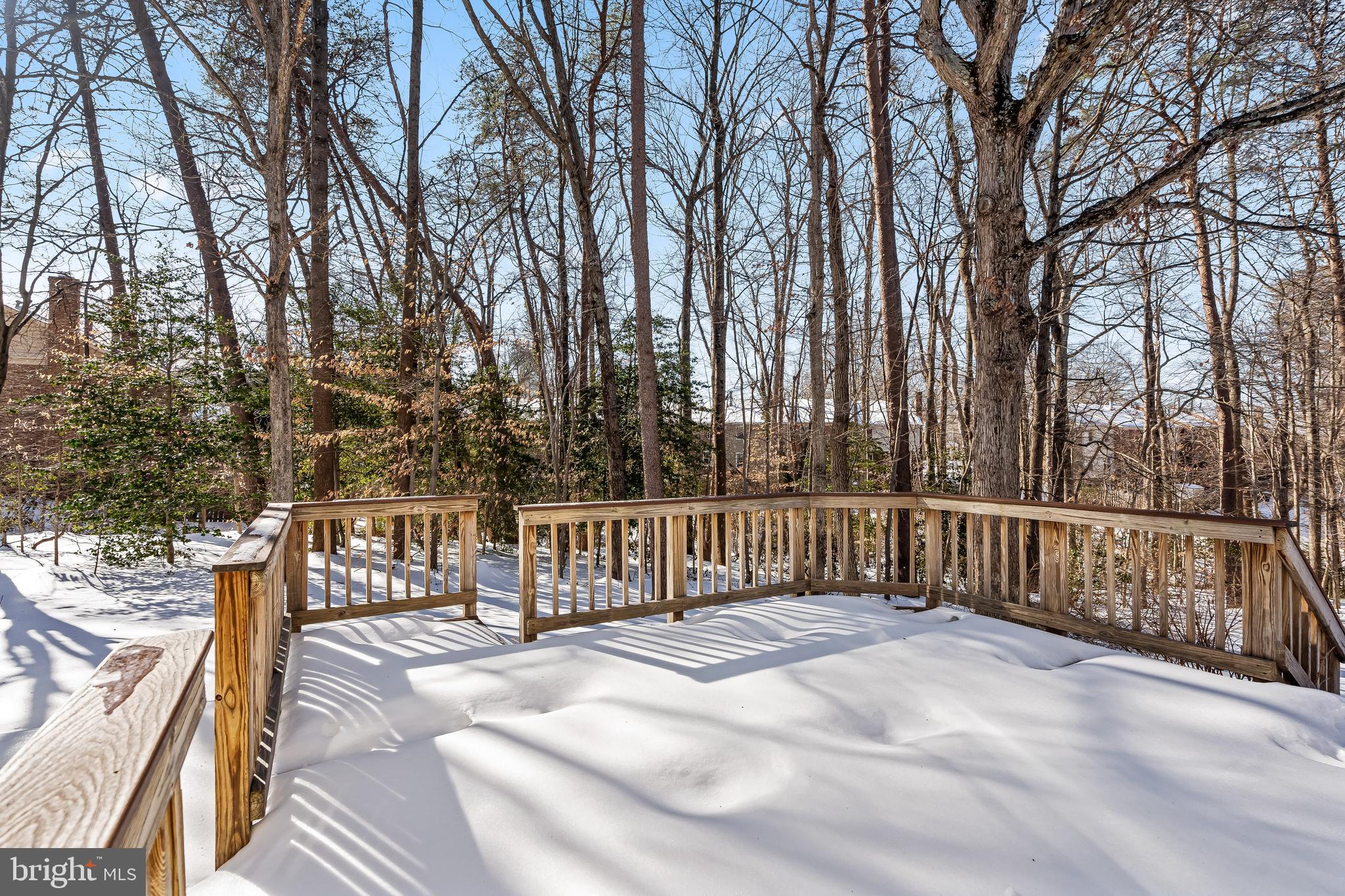 7433 Spring Tree Drive Springfield, VA 22153 - Photo 49 of 63 Gallery Image 49
