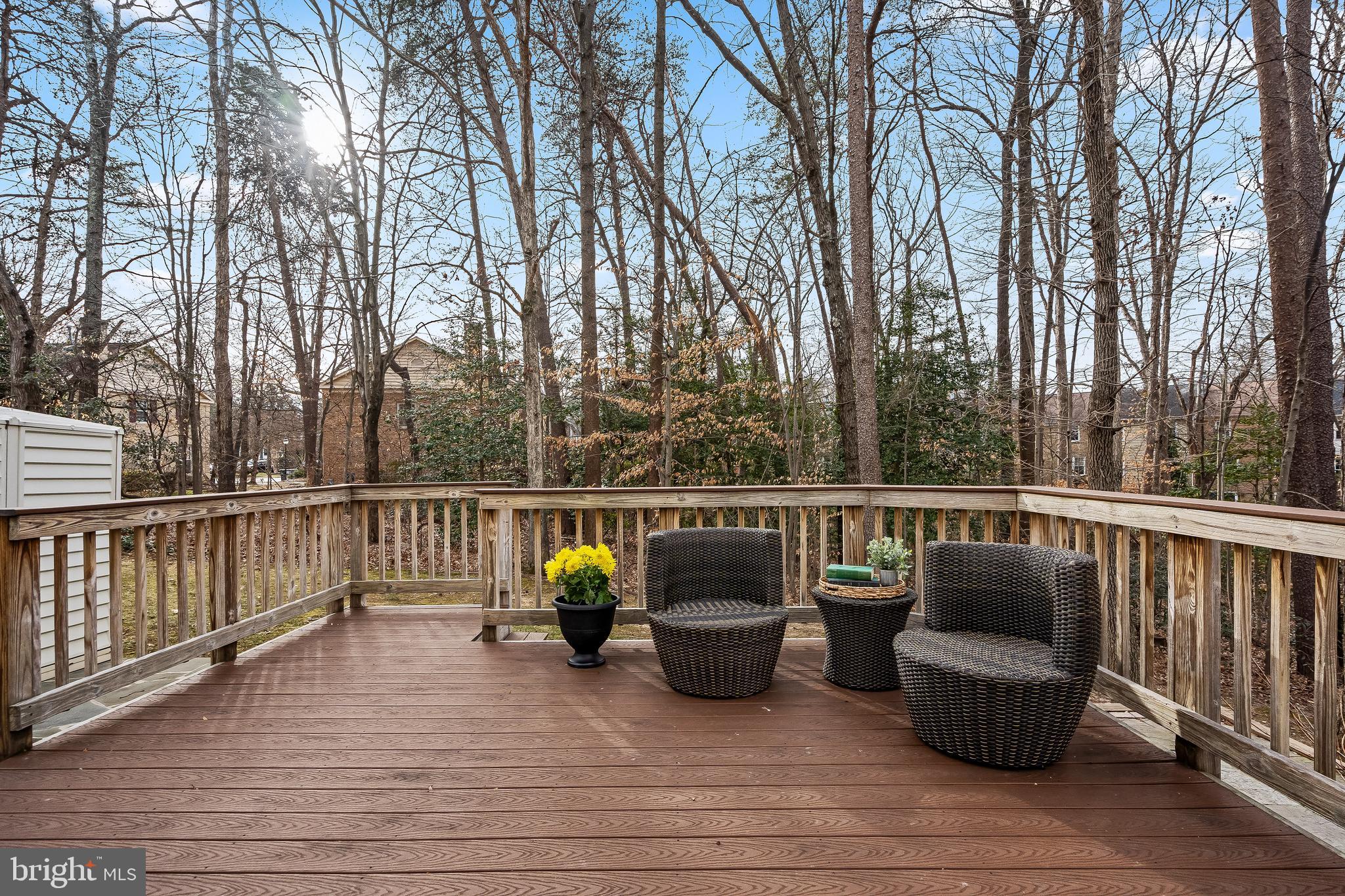 7433 Spring Tree Drive Springfield, VA 22153 - Photo 10 of 18 Secluded Backyard