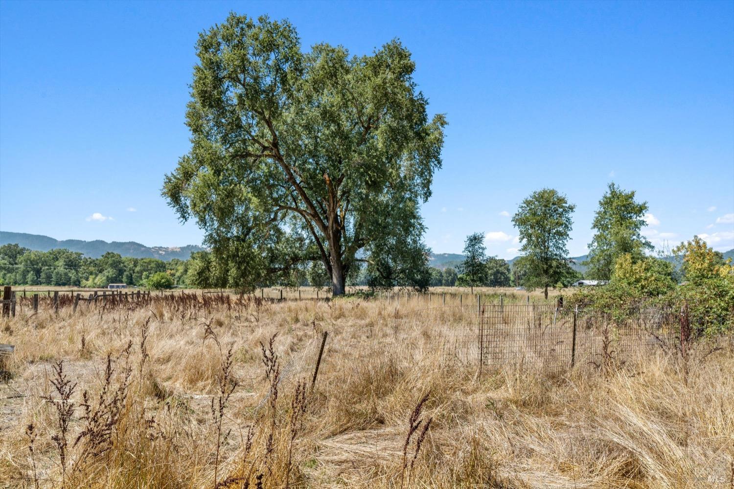 24800 Mendocino Pass Road Covelo, CA 95428 - Photo 24 of 57