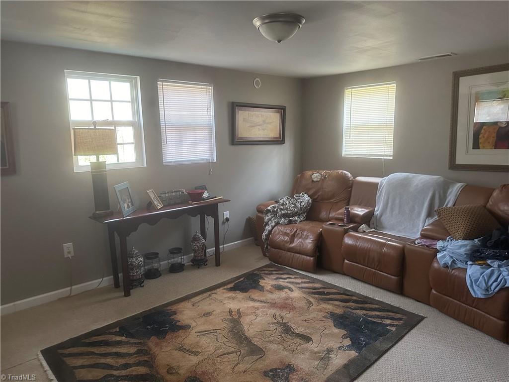 2110 Hauser Road Lewisville, NC 27023 - Photo 43 of 49 Living room of she shed