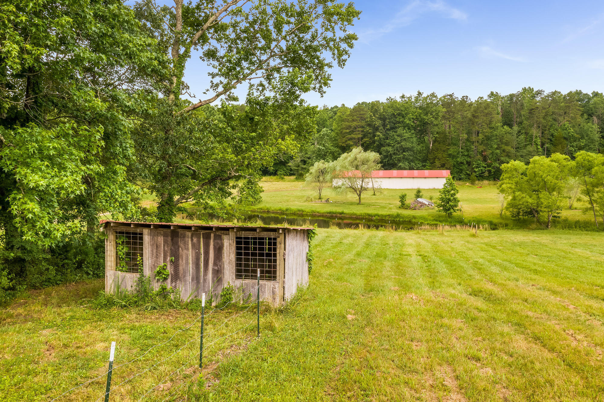 10409 North Nopone Valley Road Decatur, TN 37322 - Photo 8 of 29 10409 S Nopone Valley Road