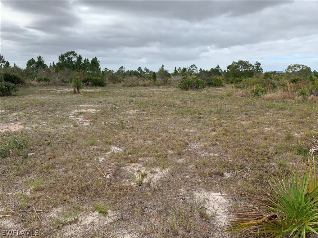 48681 Bermont Road Punta Gorda, FL 33982 - Photo 8 of 19 Gallery Image 8
