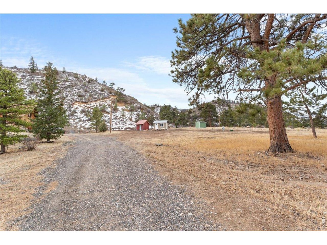59 Rustic Road Bellvue, CO 80512 - Photo 16 of 21 a view of dirt yard with a large tree