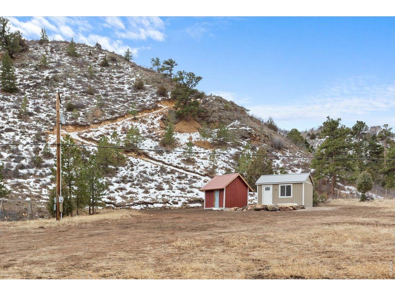 59 Rustic Road Bellvue, CO 80512 - Photo 9 of 21 a view of a yard in front of a house with a large tree