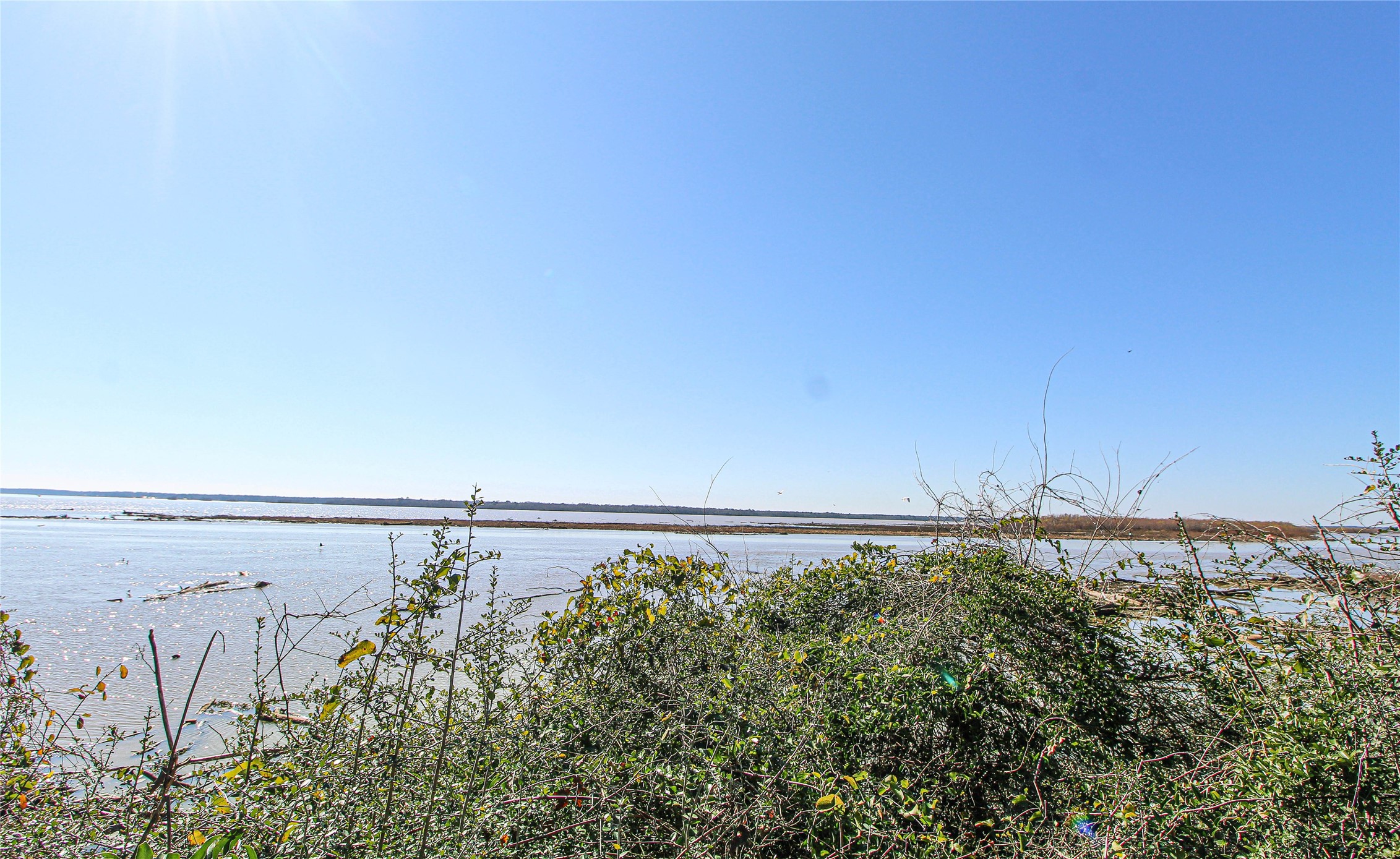 a view of a dry yard with wooden fence