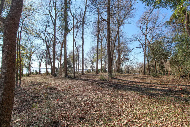 a view of a yard with trees