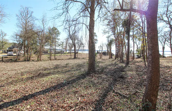 a view of yard with trees