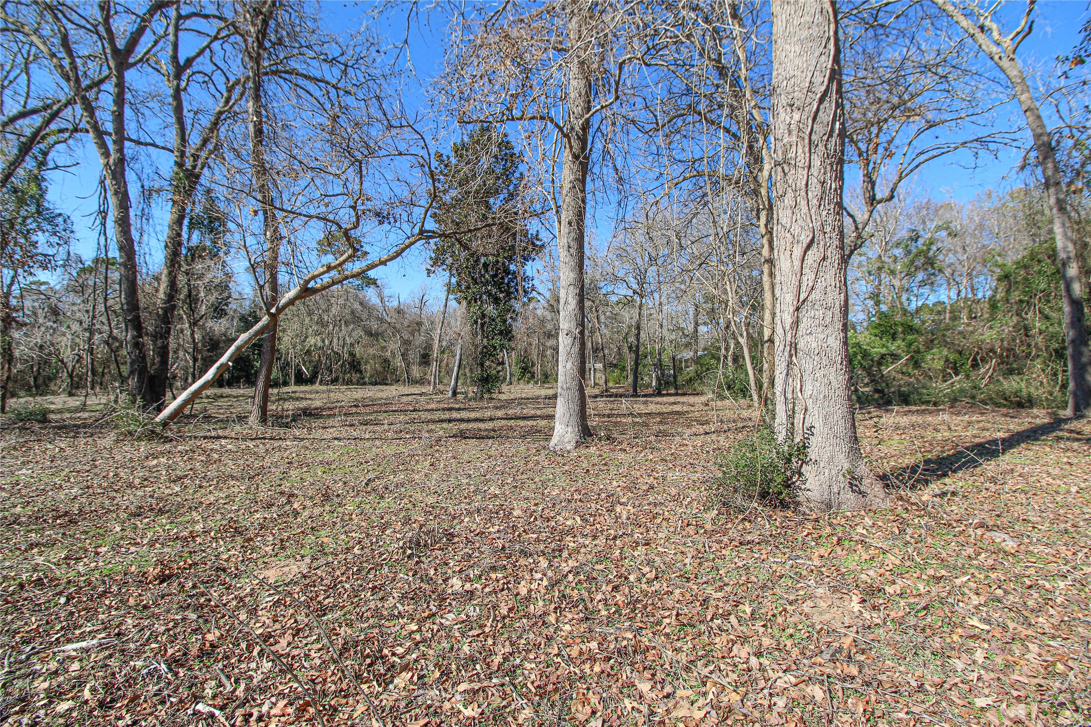 0 Fm 356 North Trinity, TX 75862 - Photo 14 of 17