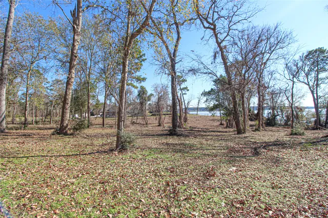 a view of a yard with trees