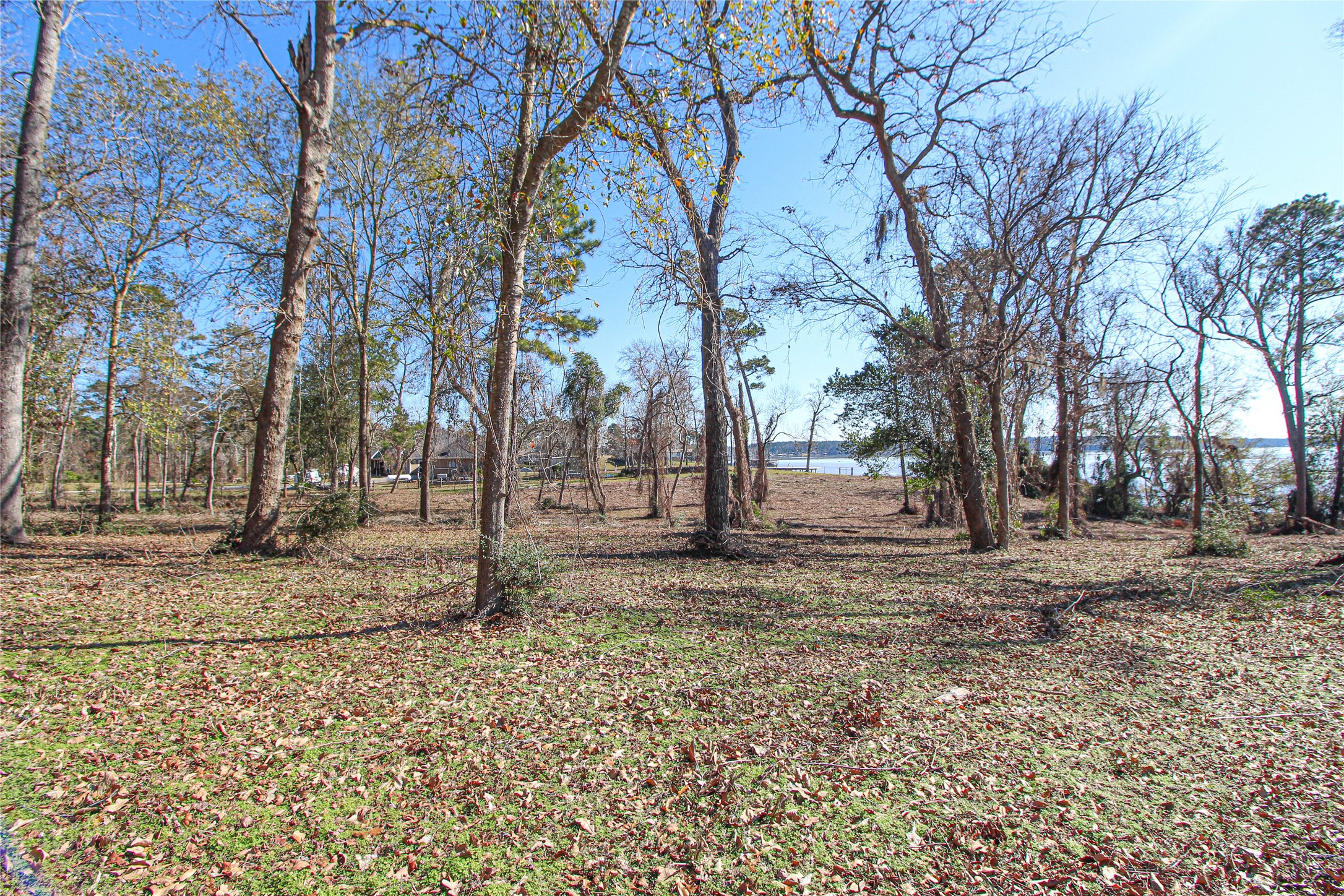 0 Fm 356 North Trinity, TX 75862 - Photo 14 of 17 a view of a yard with trees