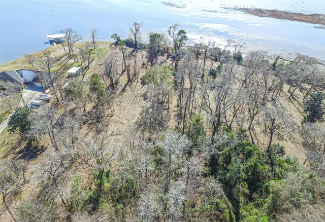 a view of a city with lots of trees