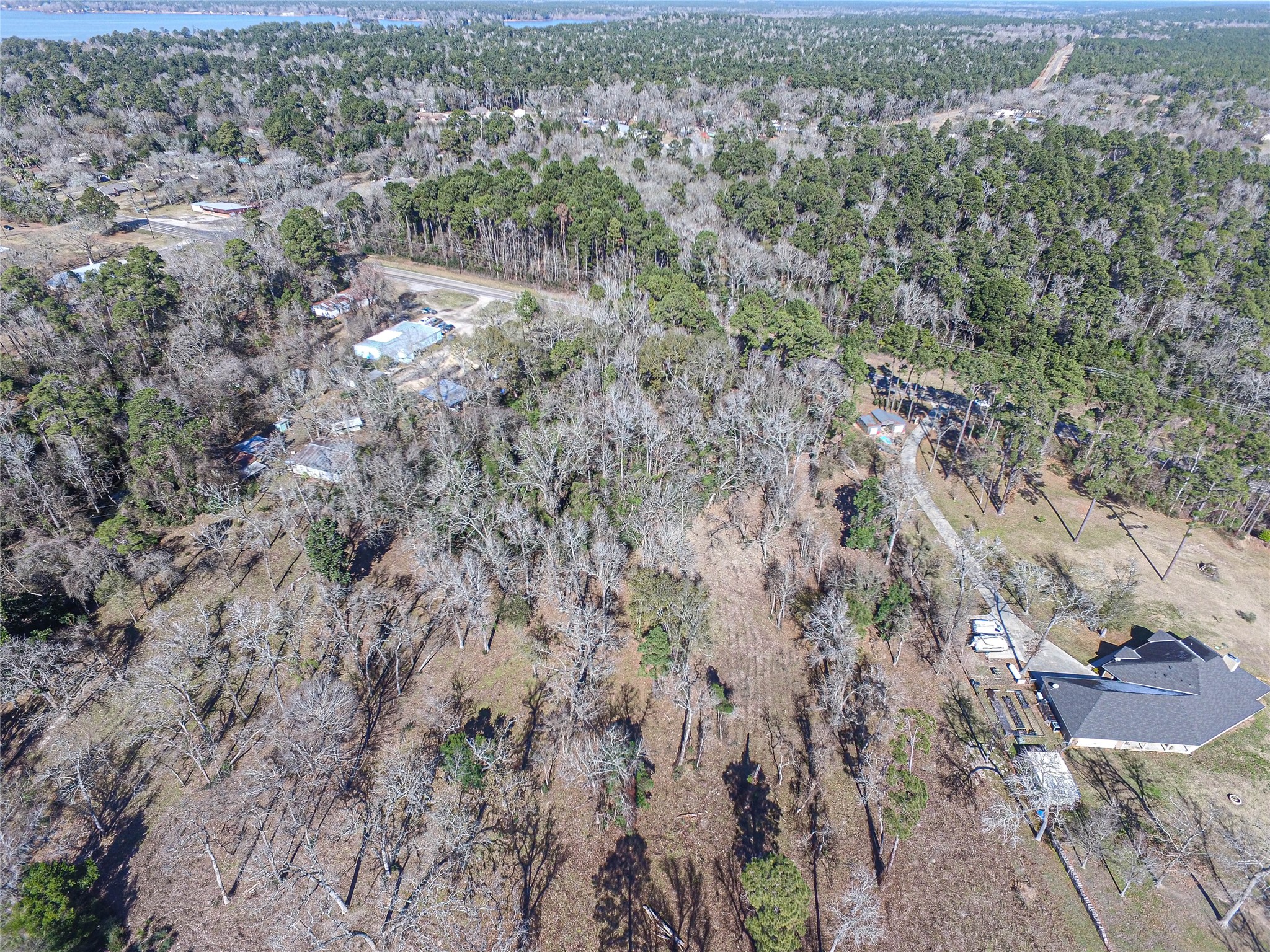 0 Fm 356 North Trinity, TX 75862 - Photo 7 of 17 a view of a city with lush green forest