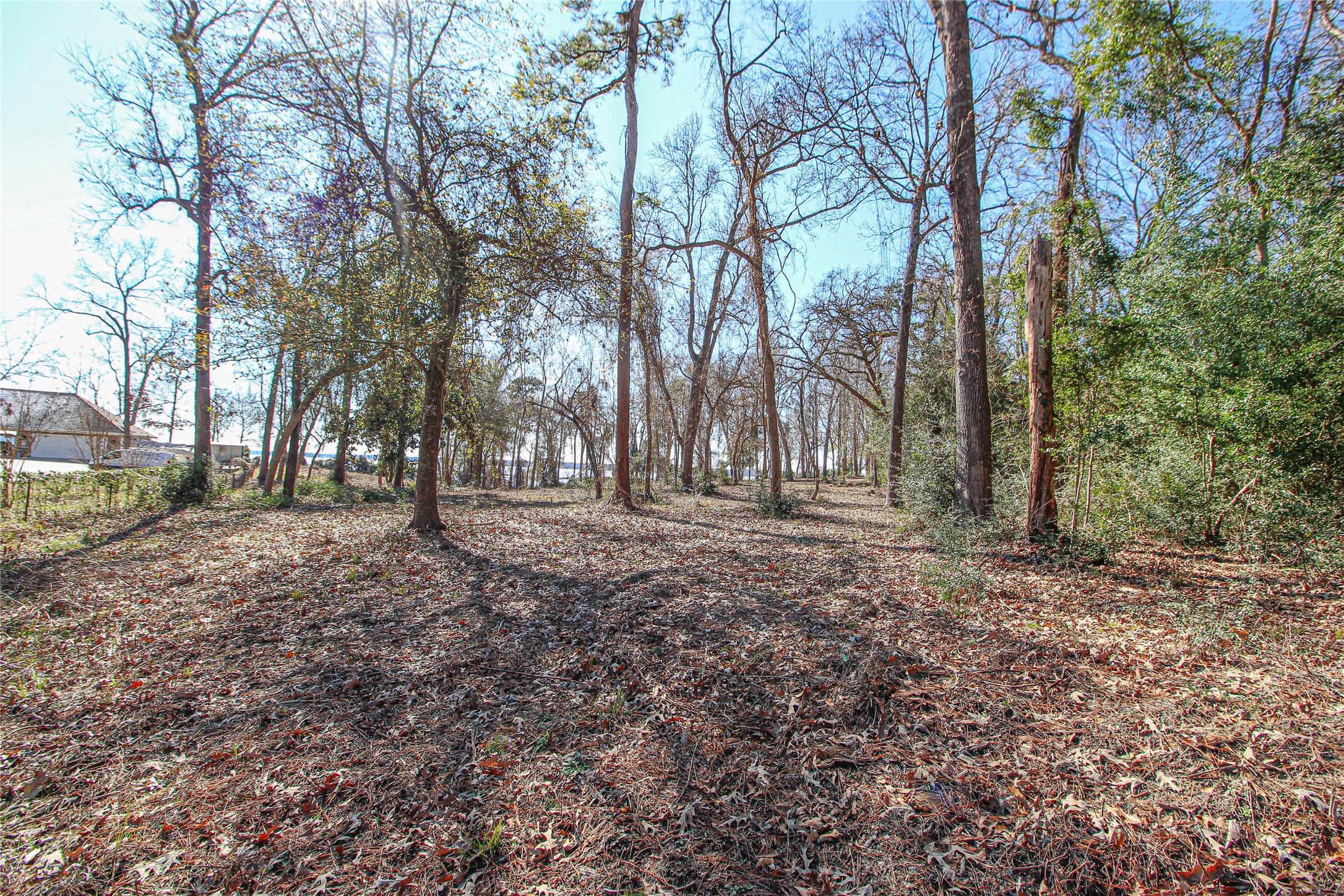 0 Fm 356 North Trinity, TX 75862 - Photo 8 of 17