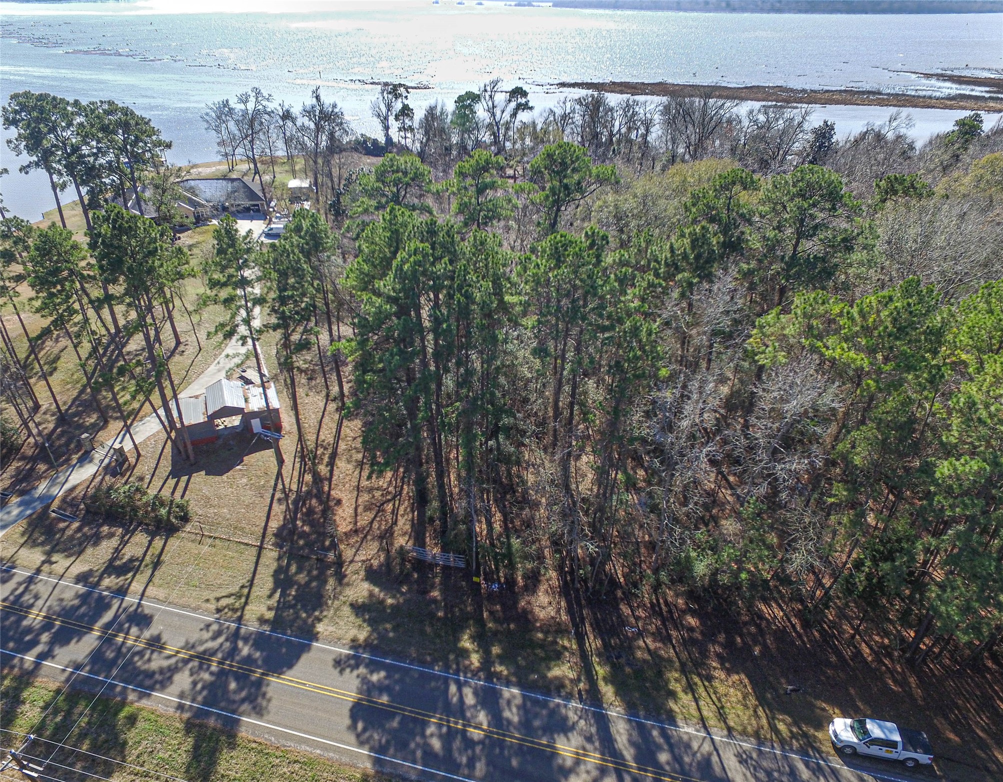 0 Fm 356 North Trinity, TX 75862 - Photo 8 of 17 a view of a yard with plants and large trees