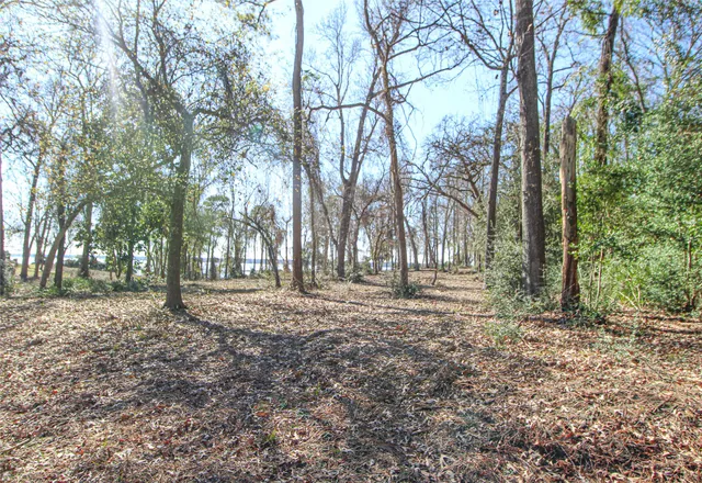 a view of yard with trees