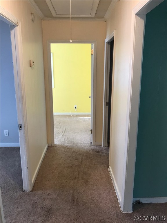 5701 Spruance Road Richmond, VA 23225 - Photo 11 of 21