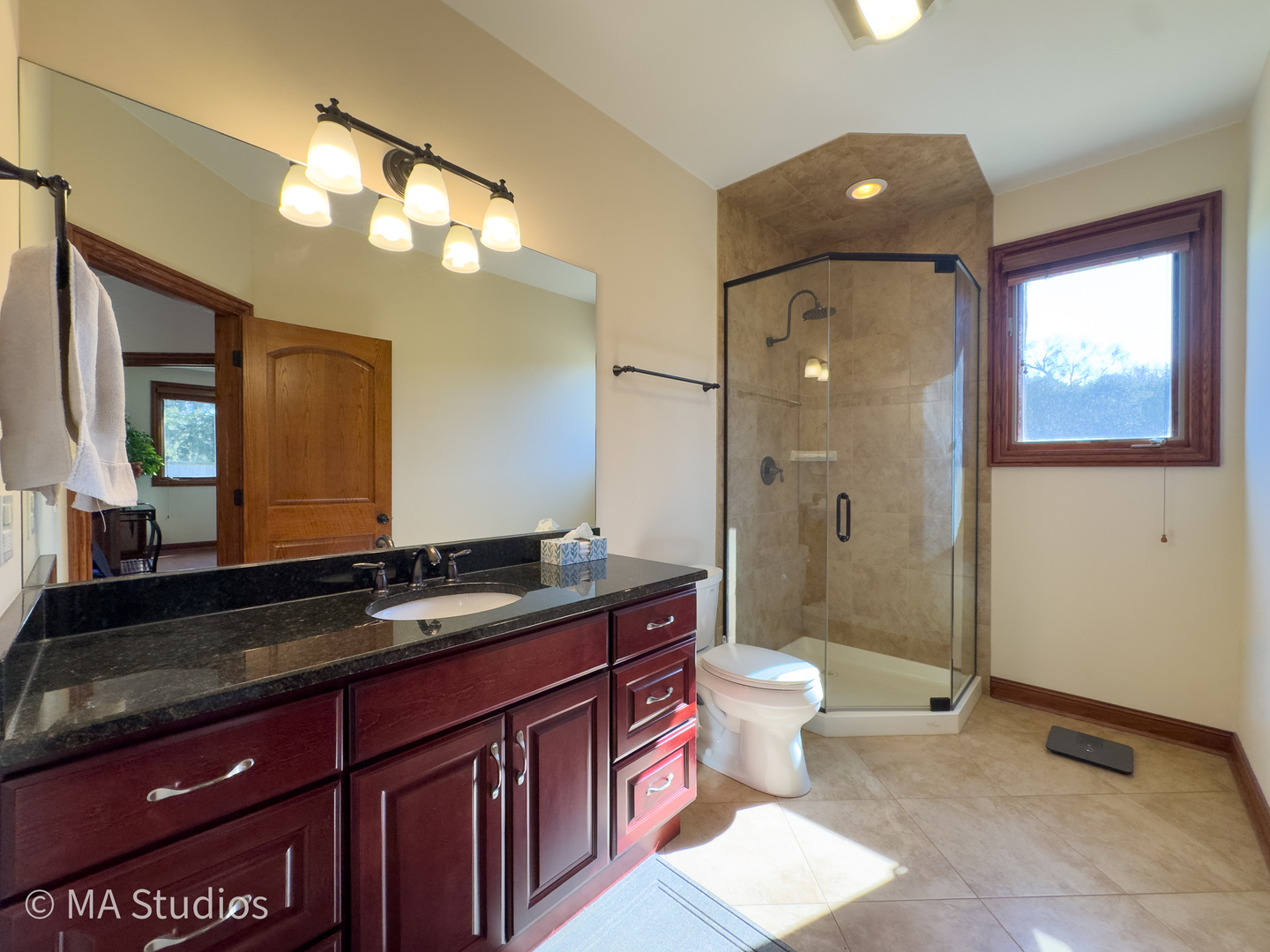 9030 Elm Avenue Burr Ridge, IL 60527 - Photo 26 of 72 a bathroom with a sink a toilet a large mirror and shower
