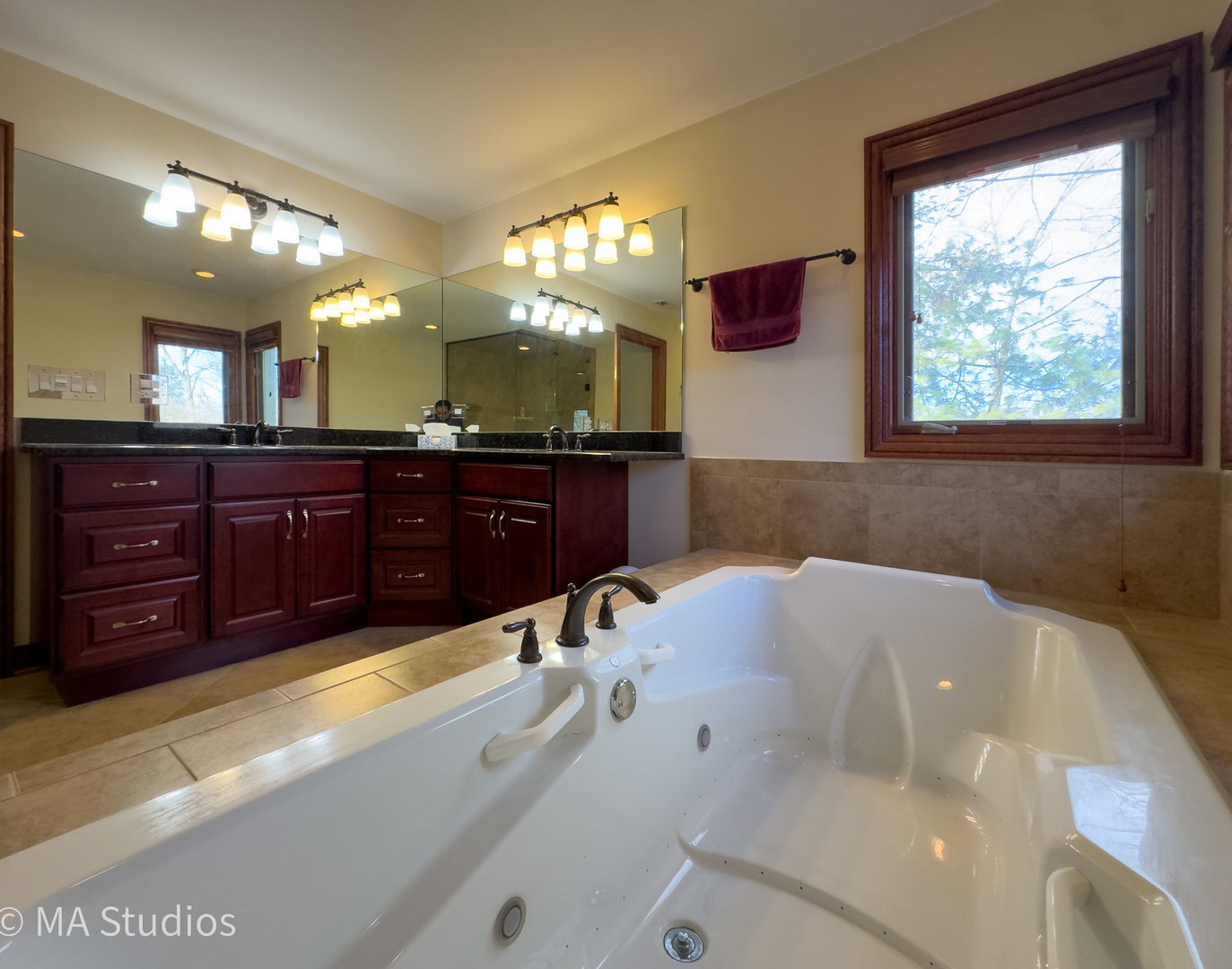9030 Elm Avenue Burr Ridge, IL 60527 - Photo 39 of 72 a spacious bathroom with a tub sink and a mirror