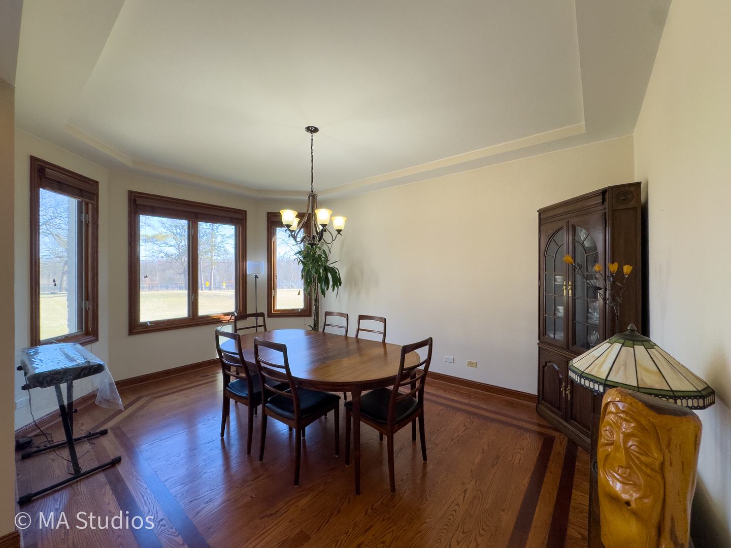 9030 Elm Avenue Burr Ridge, IL 60527 - Photo 5 of 72 a view of a dining room with furniture window and wooden floor
