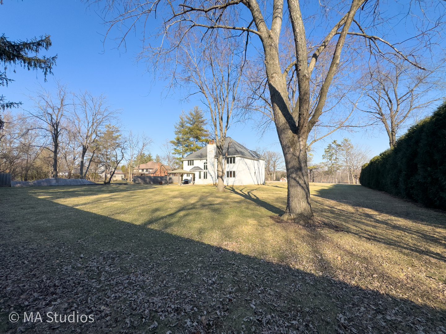 9030 Elm Avenue Burr Ridge, IL 60527 - Photo 62 of 72 a view of yard with tree in the background