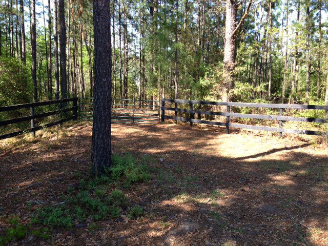 Lot 4 Vintage Vale Road Williston, SC 29853 - Photo 1 of 1 Gallery Image 1