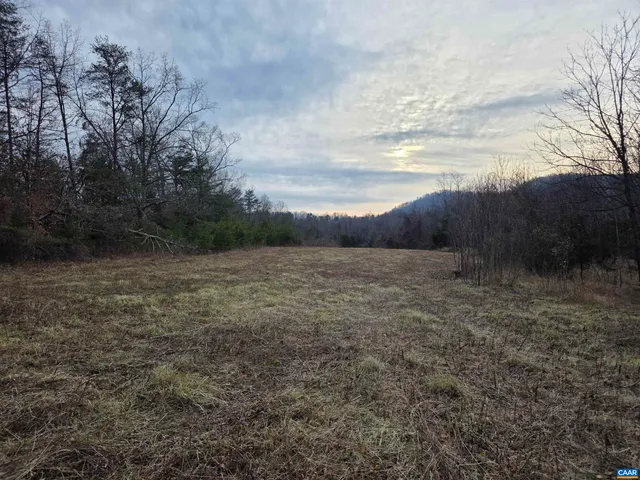 a view of a dry yard with trees