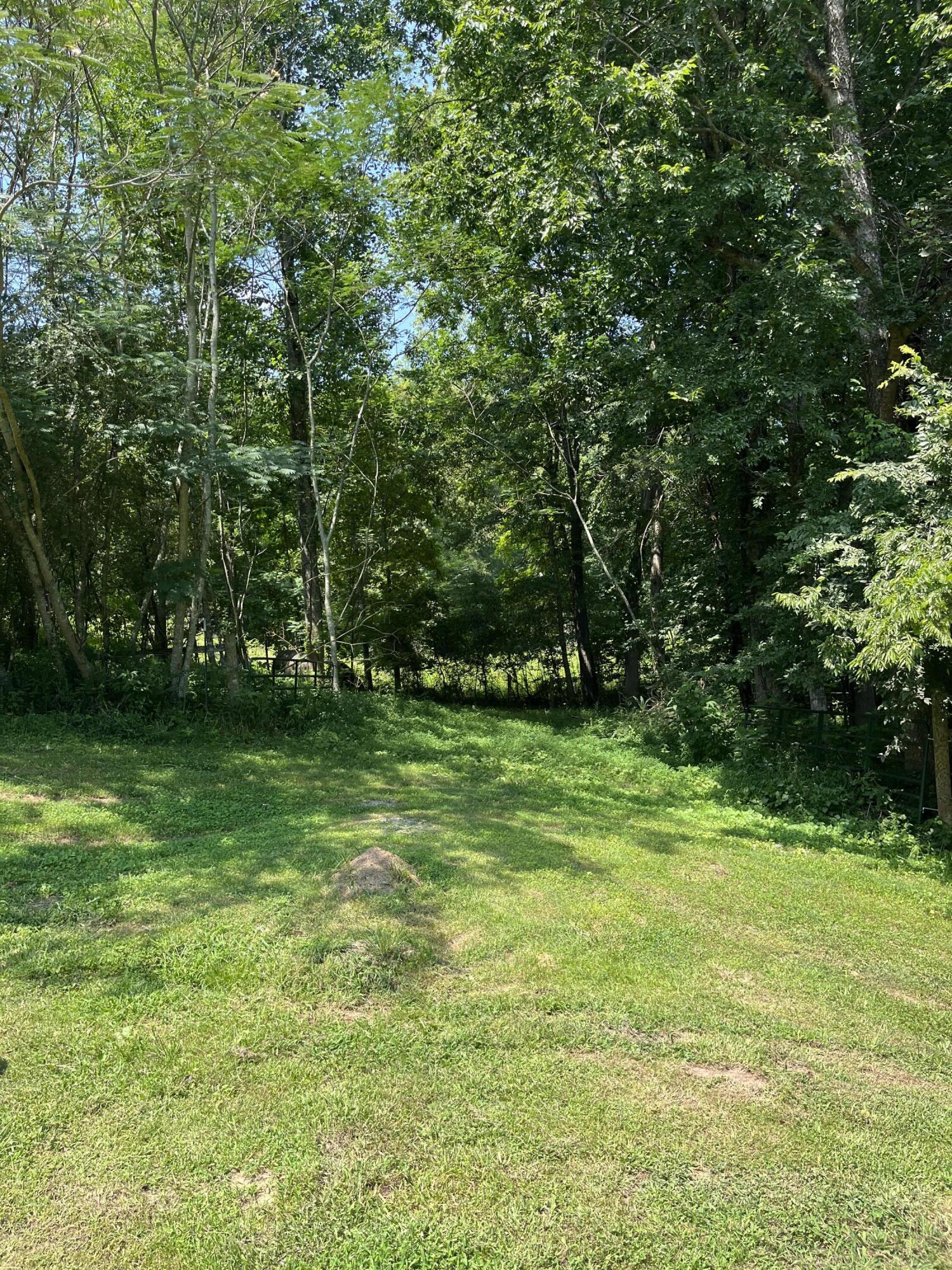 761 Miller Road Pikeville, TN 37367 - Photo 8 of 17 C1566F78-BA6C-4E54-8FE6-E41C93FE7761