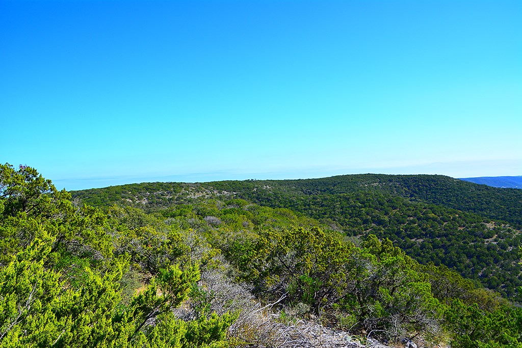 Tbd Tbd Other Leakey, TX 78873 - Photo 49 of 59