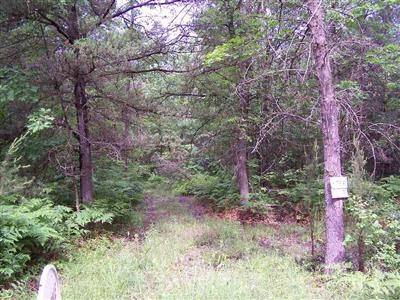 0 Black Road Prescott, MI 48756 - Photo 1 of 3 20304423.JPG