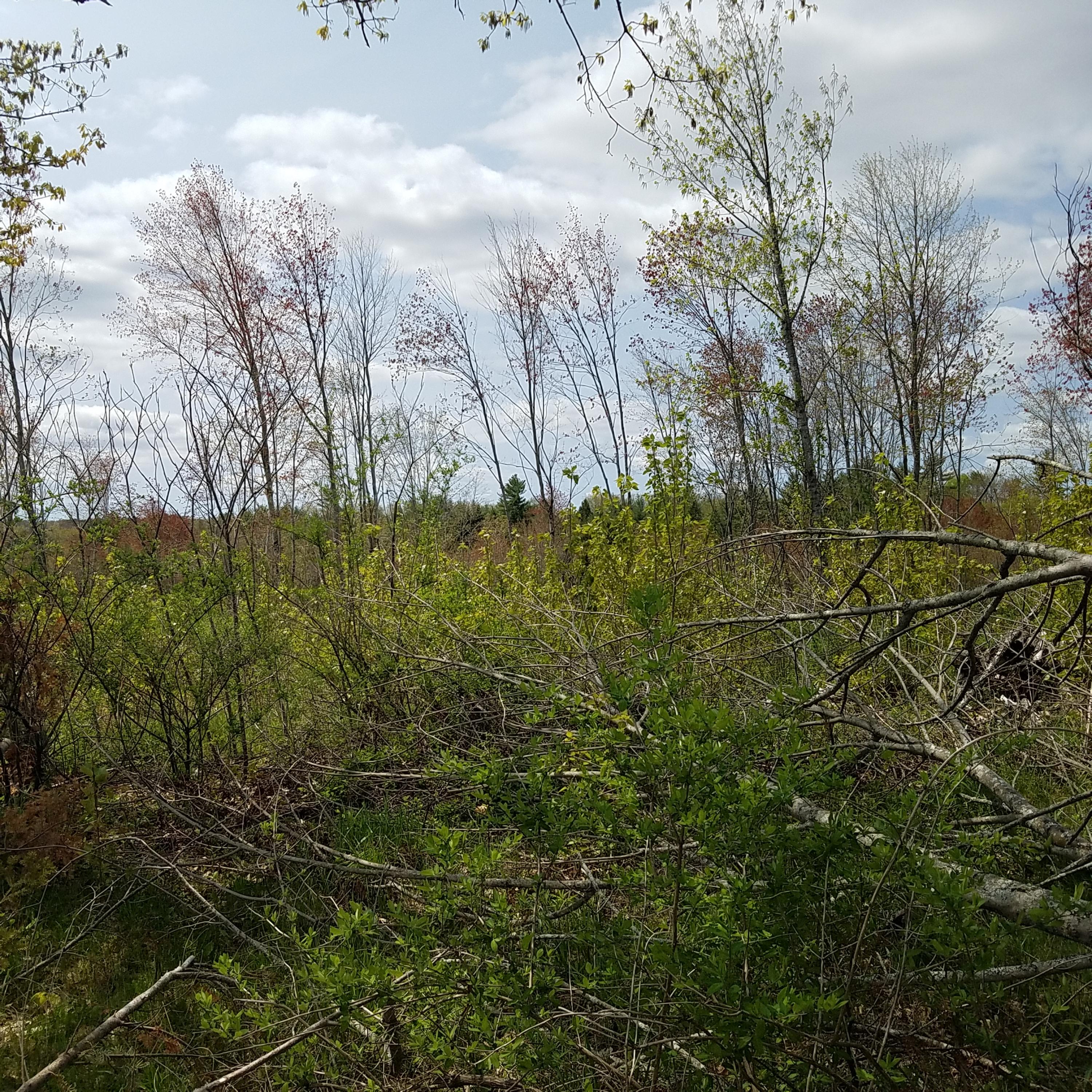 457 Church Hill Road Leeds, ME 04263 - Photo 5 of 5 pics 7.19.19