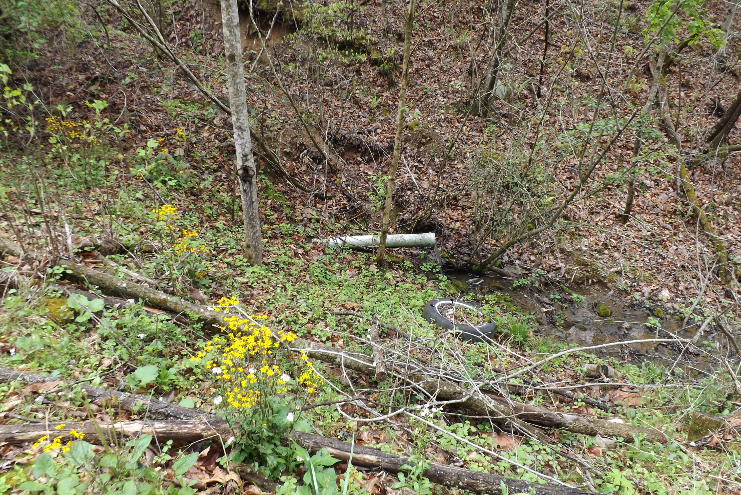 0 Buffalo Hollow Road Castlewood, VA 24224 - Photo 12 of 14 DSCF3655
