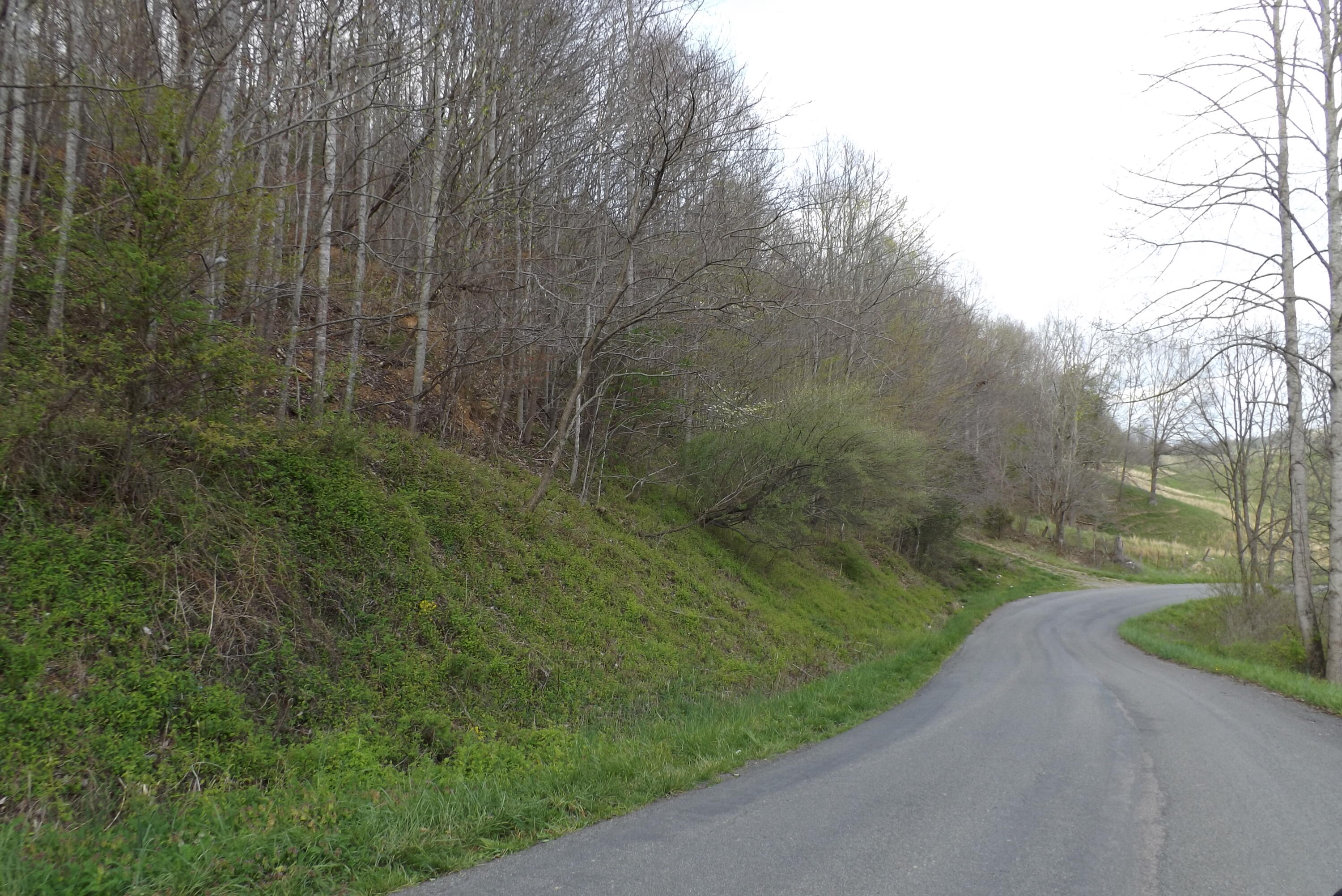 0 Buffalo Hollow Road Castlewood, VA 24224 - Photo 2 of 14 DSCF3621