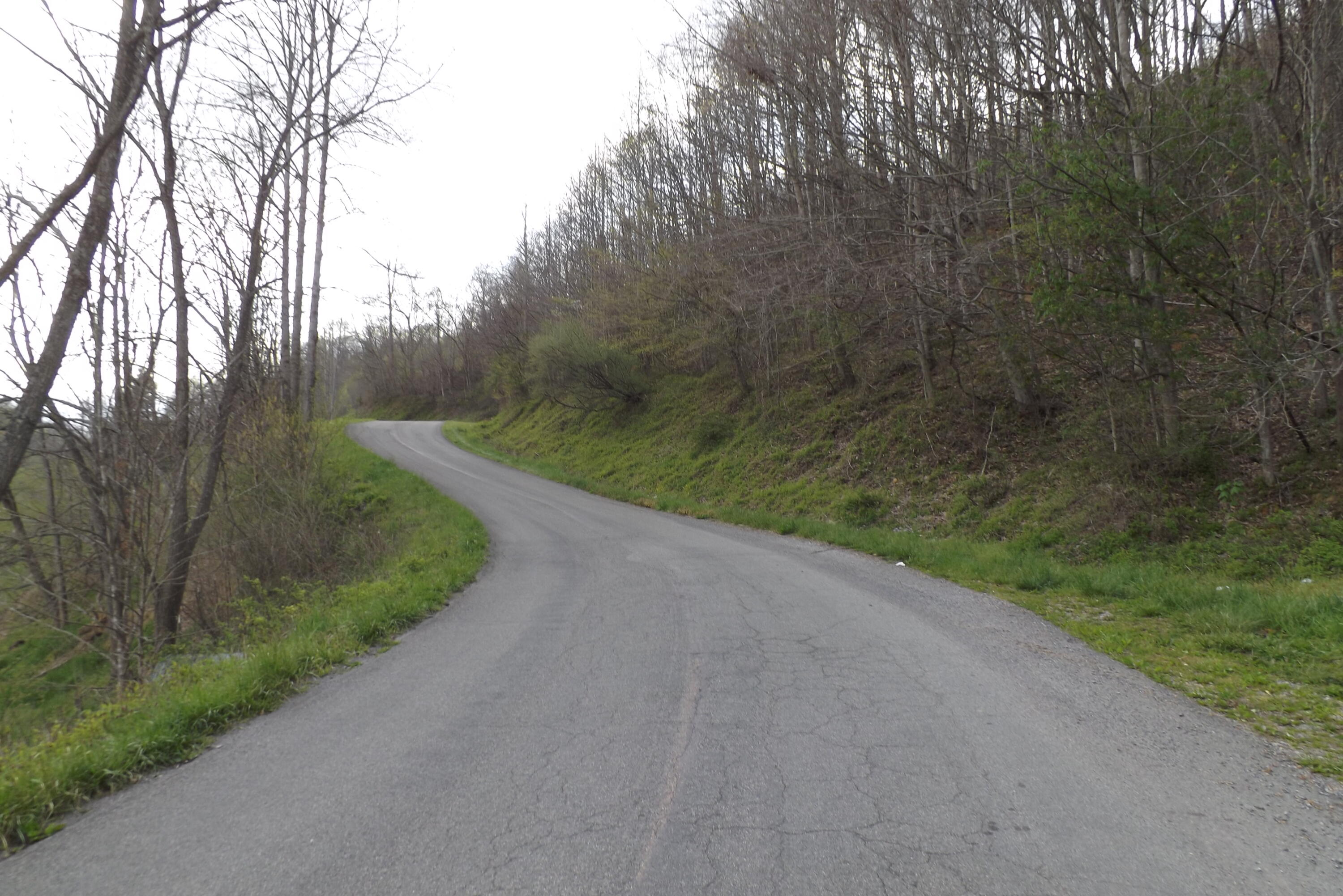0 Buffalo Hollow Road Castlewood, VA 24224 - Photo 3 of 14 DSCF3620