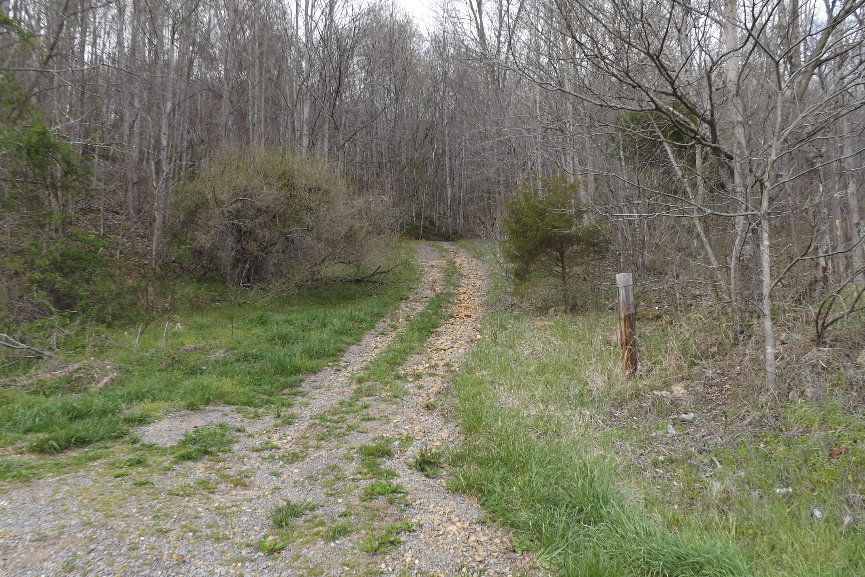 0 Buffalo Hollow Road Castlewood, VA 24224 - Photo 4 of 14 DSCF3619