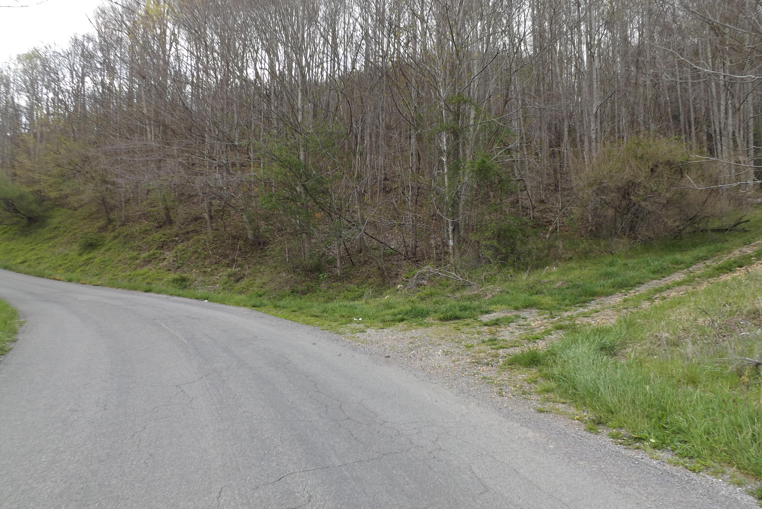 0 Buffalo Hollow Road Castlewood, VA 24224 - Photo 5 of 14 DSCF3618